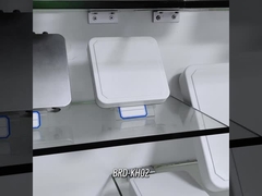 BRD-KH02 Langbereik UHF RFID-lezer / UHF RFID geïntegreerde lezer met 6dbi-antenne